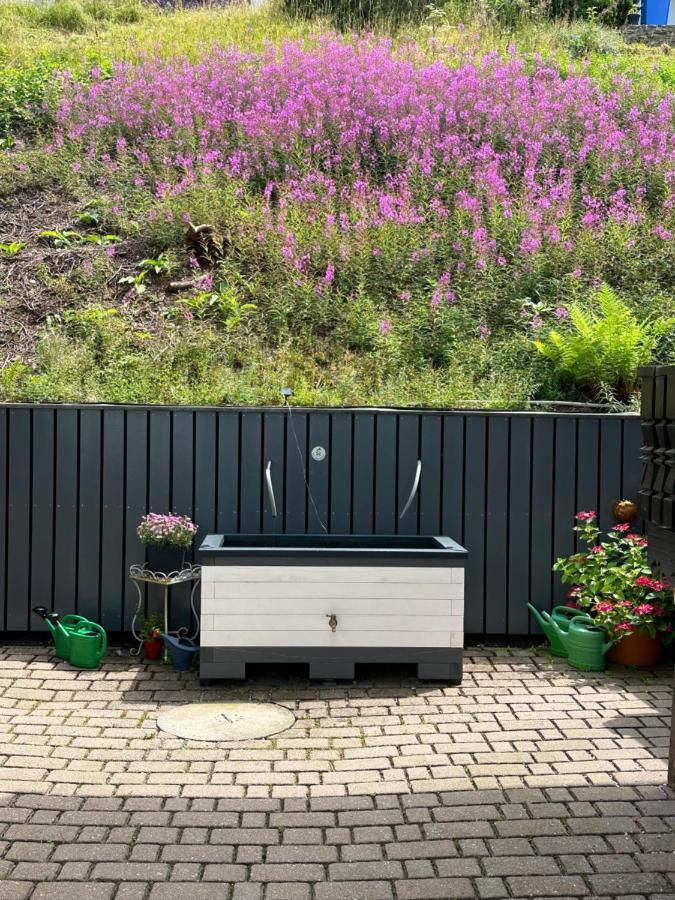 Schöfweg Modernes Top Apartment Mitten Im Bayerischen Wald + Wlan Kostenfrei מראה חיצוני תמונה