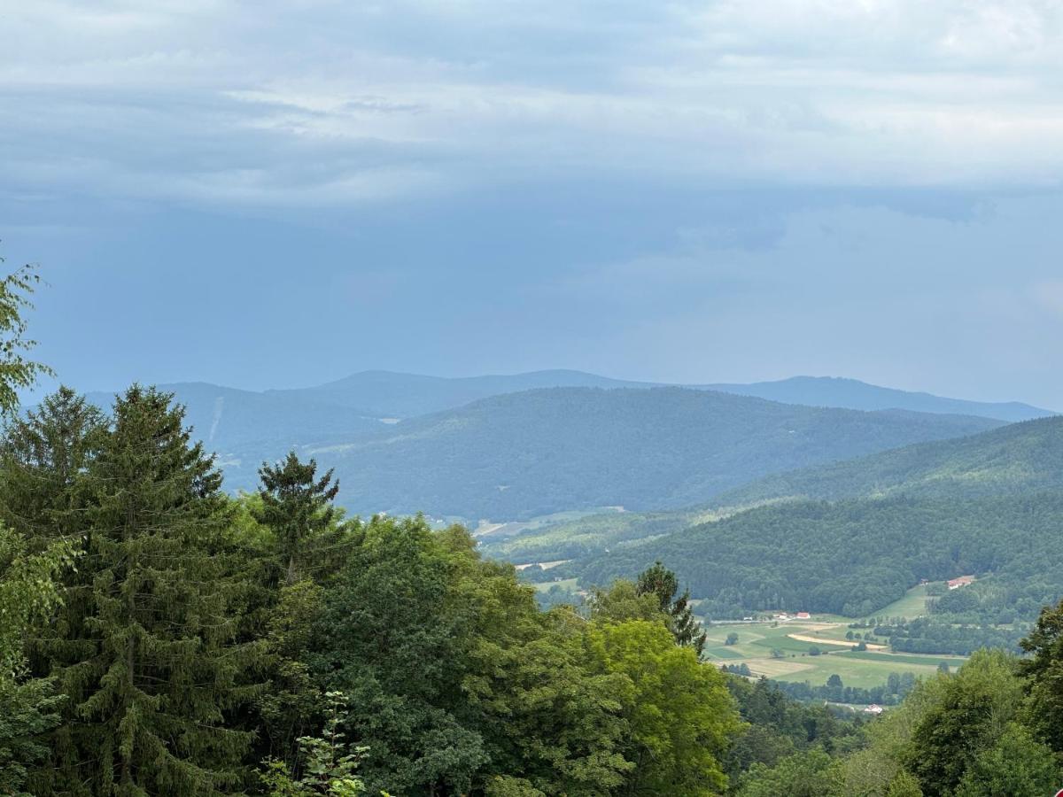 Schöfweg Modernes Top Apartment Mitten Im Bayerischen Wald + Wlan Kostenfrei מראה חיצוני תמונה